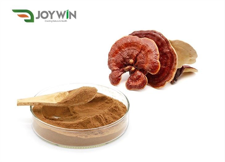 Reishi Paddenstoel Extract Poeder