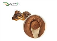 Chaga Paddenstoel Extract Poeder