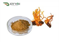 Cordyceps Militaris Extract Cordycepin
