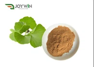 Ginkgo Biloba-bladpoeder